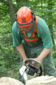 Click to see it big Ich mit Kettensäge, Impression aus dem Wald